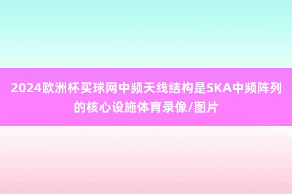 2024欧洲杯买球网中频天线结构是SKA中频阵列的核心设施体育录像/图片