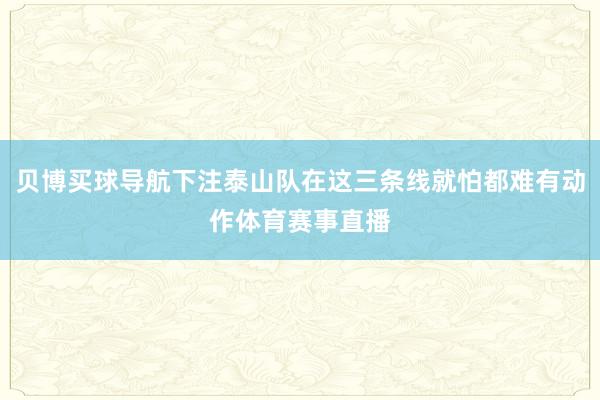 贝博买球导航下注泰山队在这三条线就怕都难有动作体育赛事直播