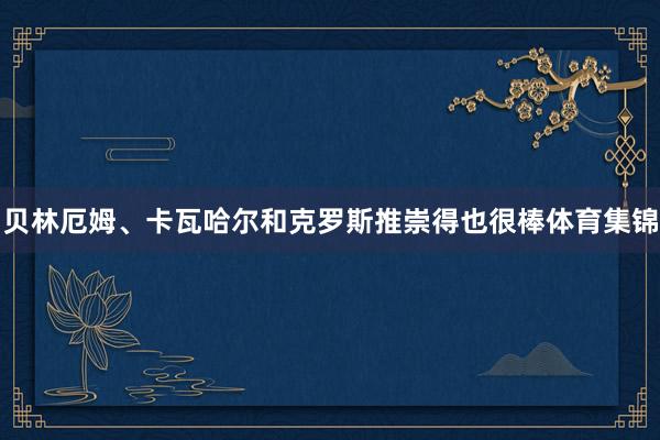 贝林厄姆、卡瓦哈尔和克罗斯推崇得也很棒体育集锦