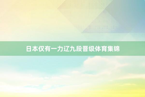 日本仅有一力辽九段晋级体育集锦