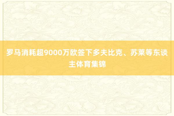 罗马消耗超9000万欧签下多夫比克、苏莱等东谈主体育集锦