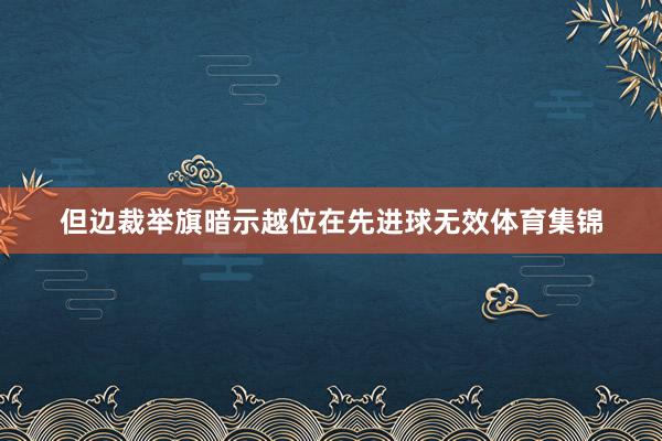 但边裁举旗暗示越位在先进球无效体育集锦