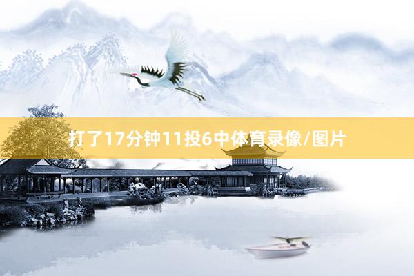 打了17分钟11投6中体育录像/图片